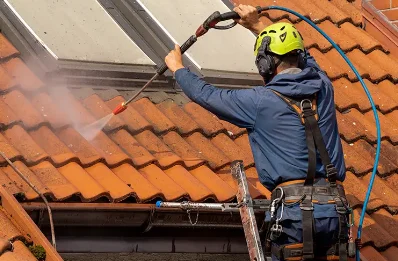 Démoussage et hydrofuge de toiture à Chaltrait